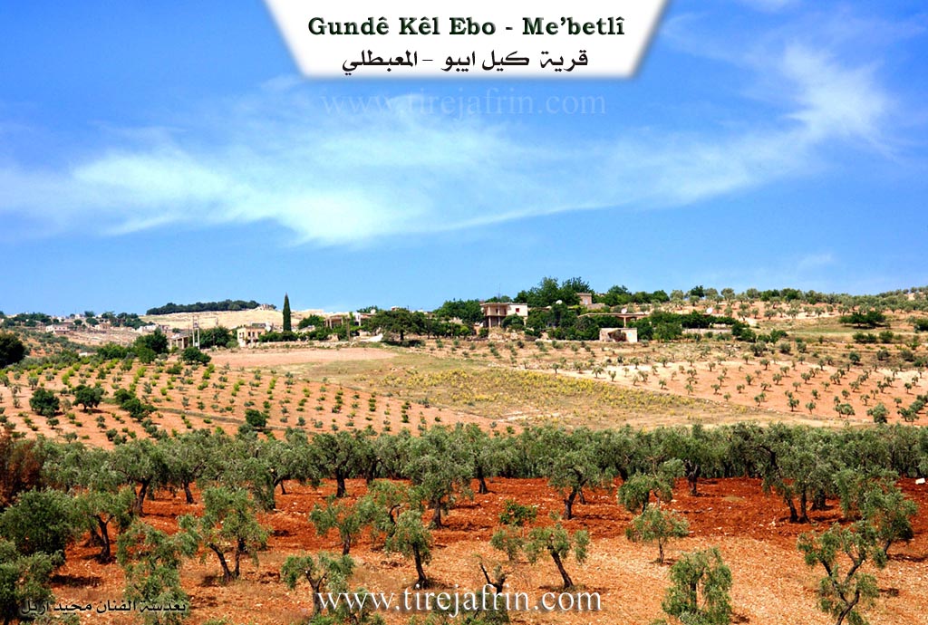 Photo of Kêl Îbo